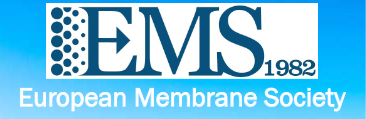 EMS logo