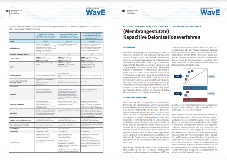 Screenshot of the first page of the fact sheet